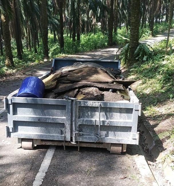 whatsapp image 2025 08 13 at 14.42.44 (2)