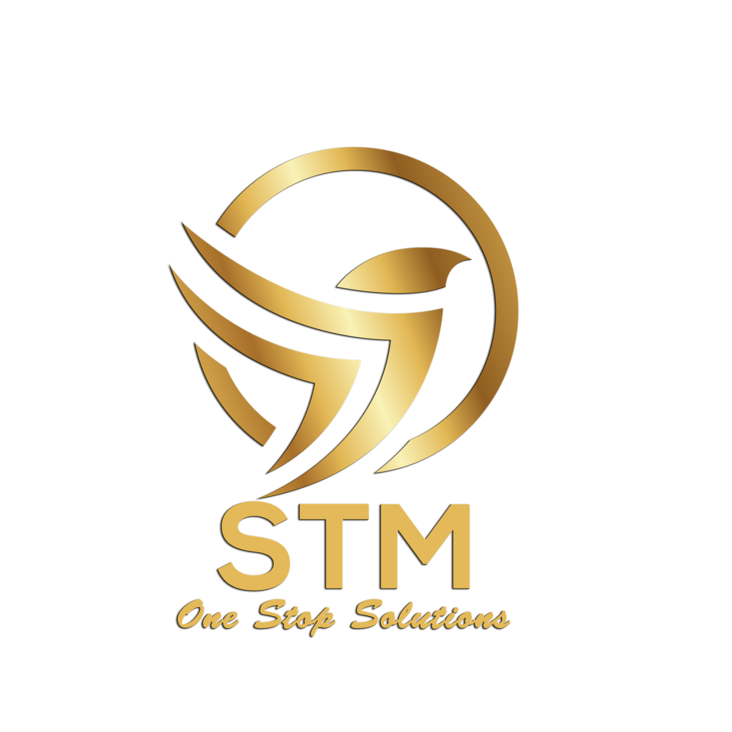 stm logo